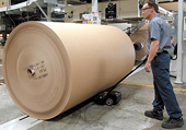Malaysia to probe possible dumping of newsprint rolls
