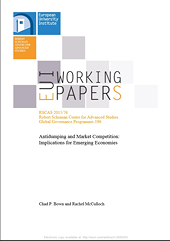 Antidumping and Market Competition: Implications for Emerging Economies 