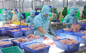 Vietnam’s aquatic product exports expected to recover in 2024