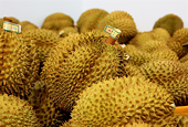 Durian emerging as 'golden fruit' among Việt Nam's exports