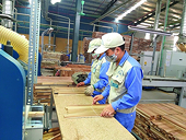 Exporting wood and wood products recovers positively