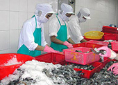 US postpones announcing anti-dumping tax on Vietnam’s shrimp