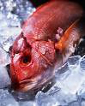 ITC will conduct full “sunset” review concerning certain frozen fish fillets from Vietnam