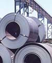 Govt to probe dumping of steel items