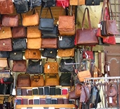 Sri Lanka Investment Destination For Chinese Leather Industry