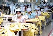 US to maintain antidumping duty on Vietnamese catfish
