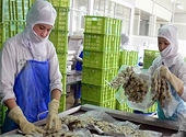 Protecting Free Trade