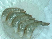 Shrimper group boiling mad over foreign fraud