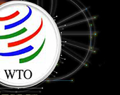 WTO warns on barriers to trade 