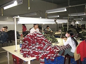 Agricultural official applauds US support for Vietnamese fish