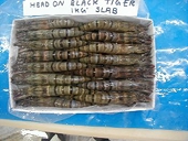 US to continue dumping duty on Indian shrimps