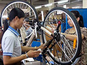 EU measures seriously hurting Vietnamese bicycle makers 