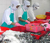WTO investigates Vietnam’s anti-dumping complaint