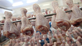 US senators assail China's 'abusive' poultry duties
