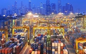 Group urges US not to implement WTO loss to China