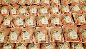 Brazilian chicken hurts South Africa 