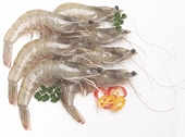 Vietnam hauls in WTO win on shrimp duties