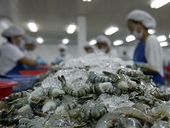 US lowers anti-dumping duties for Viet Nam seafood