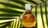 Malaysia issues tax free palm export quotas