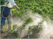 Australia halts the anti-dumping investigation on Chinese glyphosate formulations