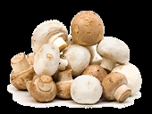 Mexico Final Ruling on Canned Mushrooms from China & Chile