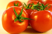 Mexico-U.S. near agreement on bilateral tomato trade pact