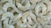 US: Gulf of Mexico shrimpers hail court's decision to re-examine Chinese import tariffs
