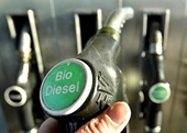 Anti-dumping keeps EU bio trade focus on spot