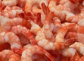 Chinese shrimp exporter contests US investigation