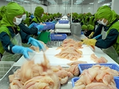 Seafood exporters seek foothold in Australian market