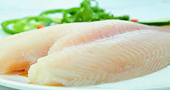Vietnamese catfish firms file lawsuit against DOC