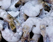 Thailand produces evidence against shrimp anti-dumping charge