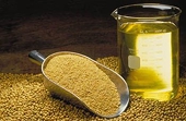 Argentine soyoil price plummets due to EU biodiesel duties