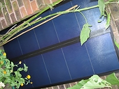 Hong Kong may have a role in EU-China solar panel dispute
