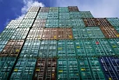 In anti-dumping lawsuits, Vietnam is usually defendant