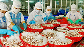 Shrimp exporters hope to win US anti-subsidy lawsuit