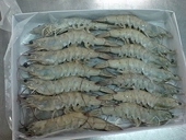 Tra fish subject to high US duties again