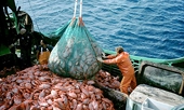 Japan to officially protest S. Korea's fisheries ban, eyes WTO intervention