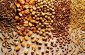 Agricultural products face tough competition in RoK