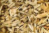 Vancouver firm ponders legal battle over China’s anti-dumping duty on pulp 