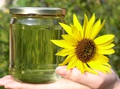 Argentina, Indonesia Spared EU Anti-Subsidy Duties on Biodiesel
