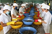 Draft US regulations hinder Vietnamese seafood exports