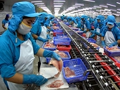 The farming and processing of tra fish in the Mekong Delta region will encounter more difficulties when a new US farm bill takes