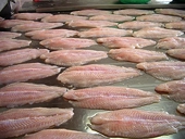 US DOC adjusts anti-dumping duty on Vietnam’s pangasius