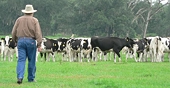 U.S. dairy farmers threaten to oppose Pacific trade deal