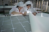 U.S. Imposes Steep Tariffs on Importers of Chinese Solar Panels