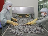 Shrimp – a key hard currency earner