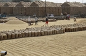 India will not back WTO protocol unless concerns addressed - sources