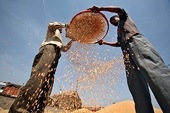 India wants final solution to food security issue in WTO 