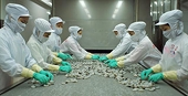 Russian food imports ban offers opportunity for Vietnamese firms